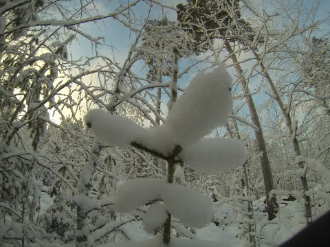 Lumi sateita päivää kaikille