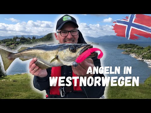 Angeln in Norwegen - so fängst du Pollack, Leng und Co. in Westnorwegen.