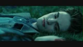 Edward &amp; Bella {Timmy by Meg &amp; Dia}