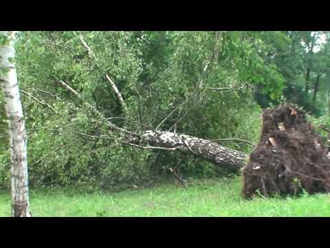 RETRO VIDEO  🙂 č.25 - Kalamitná smršť (19.7.2011)(Čadca)