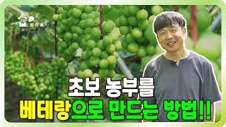 1천평에 10,000송이 수확이 가능한 이유!!ㅣ 샤인머스캣 귀농 ㅣ 스마트팜 보조사업