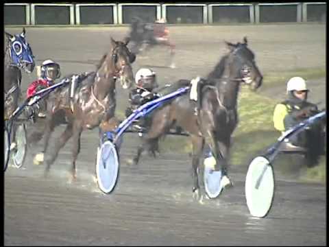 Trotto 05/02/2015 - 6° corsa