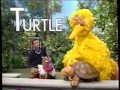 Sesame Street 3513 Magical Hide And Seek