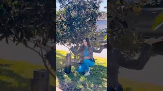 Hate watering your lawn ☹️ Try this  🌱💦