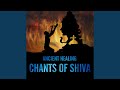 Shivashtakam Mantra Mantra To Remove All Problems