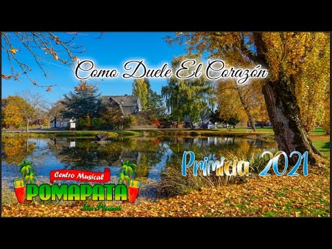 Centro Musical Pomapata - COMO DUELE EL CORAZON PRIMICIA 2021