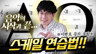 [박터틀] 스케일 완전정복! 음악의 시작과 끝이라고?! 피아노 독학 전 필수영상