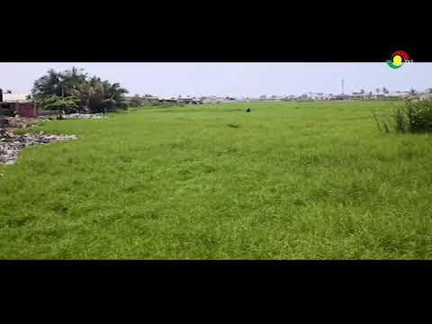 LIVE: Vanishing Wetlands: A Joseph Armstrong Gold Documentary || 30-07-2025