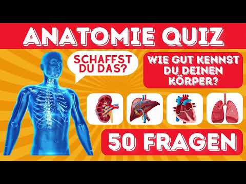 Wie gut kennst du deinen Körper? | Das ultimative Anatomie-Quiz! 🧠🦴