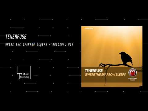 PREMIERE: Tenerfuse - Where The Sparrow Sleeps (Original Mix) [MISTIQUE MUSIC]