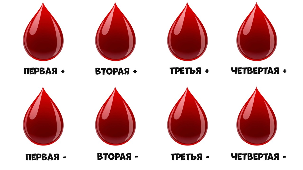 Скрытые преимущества каждой группы крови за 8 минут