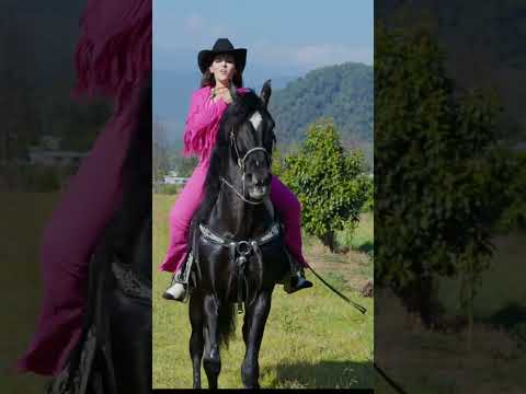 Soy una mujer empoderada, soñadora, libre, enamorada y con un caballo bailador 🤠🐴❤️ #shorts
