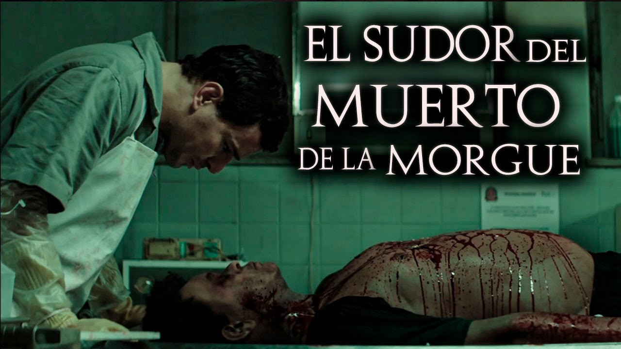 3 RELATOS de TERROR Ocurridas en la MORGUE | HISTORIAS de HORROR reales | EL SUDOR DEL MUERTO