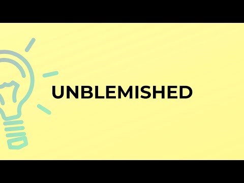 What is the meaning of the word UNBLEMISHED?