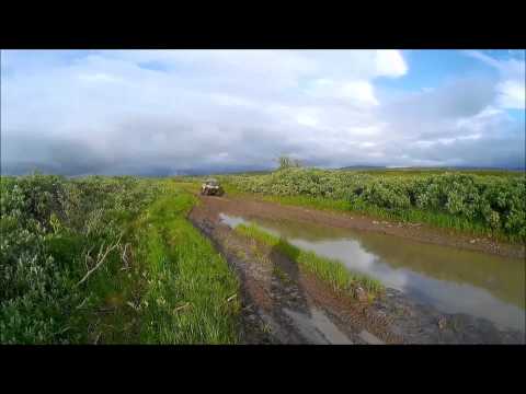 Прогулка вдоль реки Уса