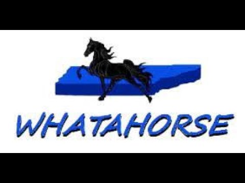 2023 Celebration News Day 6 livestream - 08-29-2023 7:00am