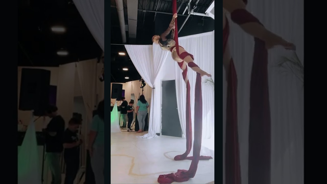 Promotional video thumbnail 4 for Aerial Cherry