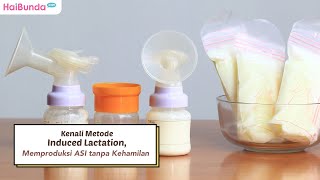 Download lagu Kenali Metode Induced Lactation, Memproduksi ASI tanpa Kehamilan mp3 Download lagu Kenali Metode Induced Lactation, Memproduksi ASI tanpa Kehamilan mp3