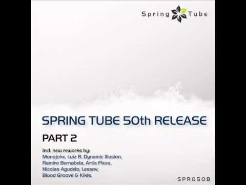 Smooth Stab feat. Aelyn - These Words Between Us (Dynamic Illusion Remix) - Spring Tube