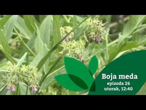 Boja meda ep. 26 04.09.2018. NAJAVA