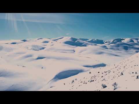 The Black & Vice Social Club - White Crow (OFFICIAL VIDEO)