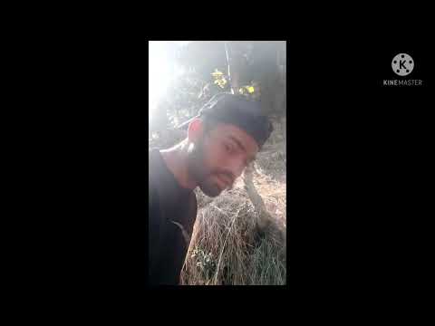 ass chill ro ham thuntu ju kuljeet a aruna a keval a mithen