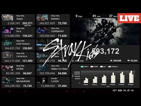 Stray Kids - RUN IT | Live View Count | Lo-fi BGM