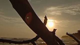 Download lagu Puisi,setiaku butuh jeda😌 mp3