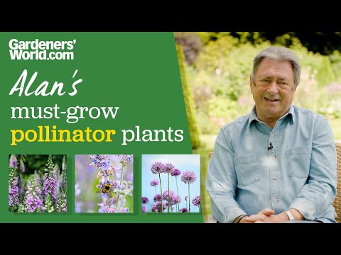 5 favourite plants for pollinators | Alan Titchmarsh
