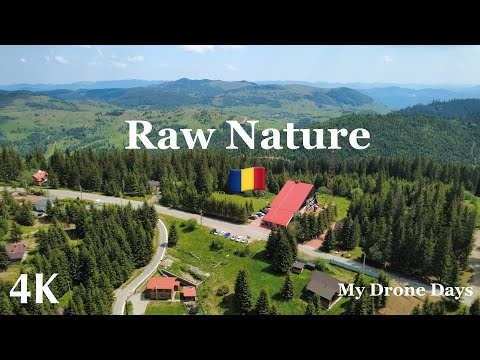 Exploring Raw Nature at Muntele Băișorii | 4K Drone Views of Romania