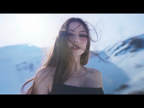 phytocene - fields (music video)