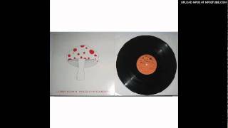 Mushroom - Devil Among The Tailors - Single Version