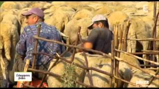 Echappées Belles  De Balkan Sarajevo Bosnia , Prishtina Kosovo, Brod Gora , Skopje Macedonia