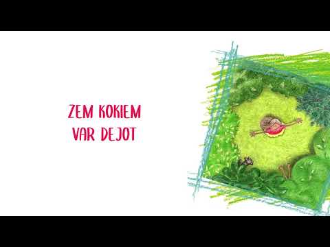 VOKĀLĀ STUDIJA PIGORIŅI - Omītes stāsts