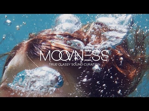 SHADLEY PETERSON - DREAMERS