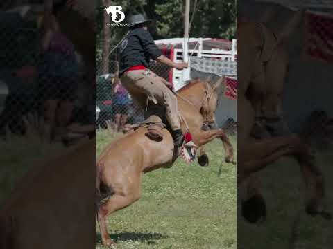Festival Nacional de Gato y Mancha 2026, Alto Rio Senguer, Chubut, Argentina