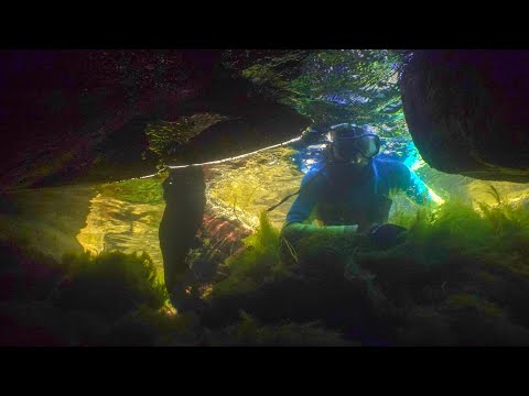 62. Vedenalainen näkyvyys: Mitkä seikat siihen vaikuttavat? OSA 1/2