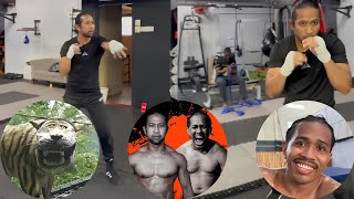 Download lagu 🤣KOCAK! SHADOWBOX YUSUF AZMI, PESAN YUNUS UNTUK YUSUF AZMI‼️YUNUS SASMITOV VS YUSUF AZMI WARZONE🇲🇾🇮🇩 mp3