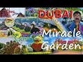 Dubai Miracle Garden World S Largest Natural Flower Garden