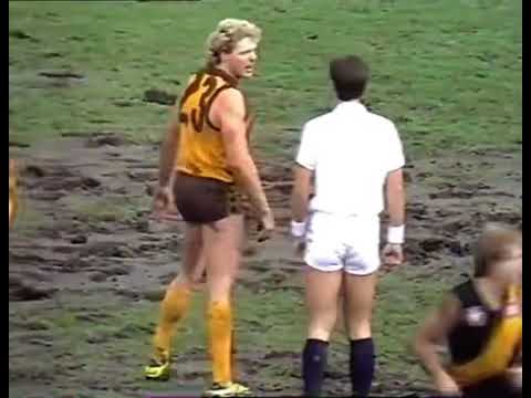 Dermott Brereton - Umpire dissent