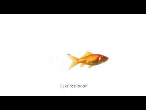Du Kan Dø Af Det Der - Sonja Hald