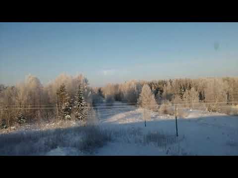 Река Вычегда. Север. Архангельская область.