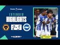 Extended PL Highlights: Wolves 2 Albion 3