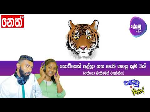 Neth FM Dedunu Mawatha - කොටියෙක් අල්ලාගැනීම