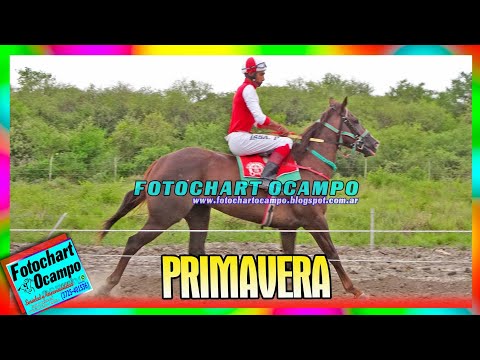 PRIMAVERA - Charadai - Chaco 17/12/2022