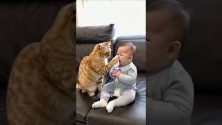 Miniature vidéo