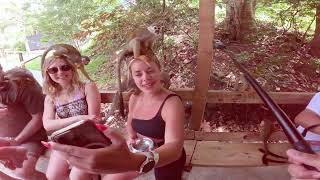 CELEBRITY BEYOND, 2025. PUERTO PLATA, DR 🇩🇴  PT.1