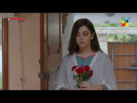 Ahmer Ki Zindagi Mein Ifrah Aur Nadia Ki Kia Hesiyat - Bebasi - HUM TV