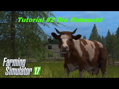 Landwirtschafts Simulator 2017 Tutorial #2 Die Kuhzucht
