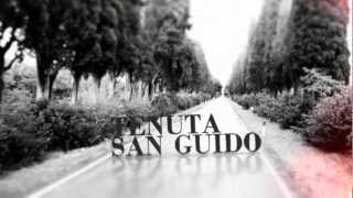 YouTube: Tenuta San Guido Sassicaia